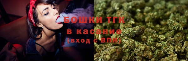 прущие крисы Верея