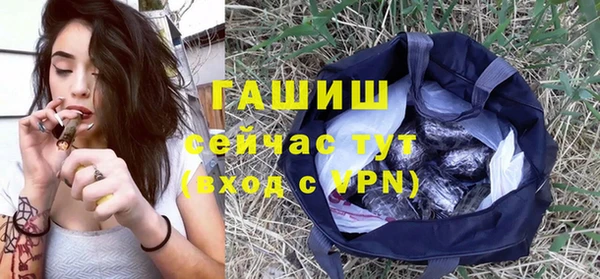 шишки Верхний Тагил