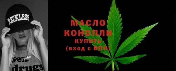 шишки Верхний Тагил