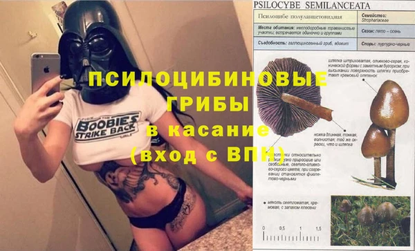 шишки Верхнеуральск