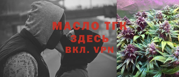 шишки Верхний Тагил
